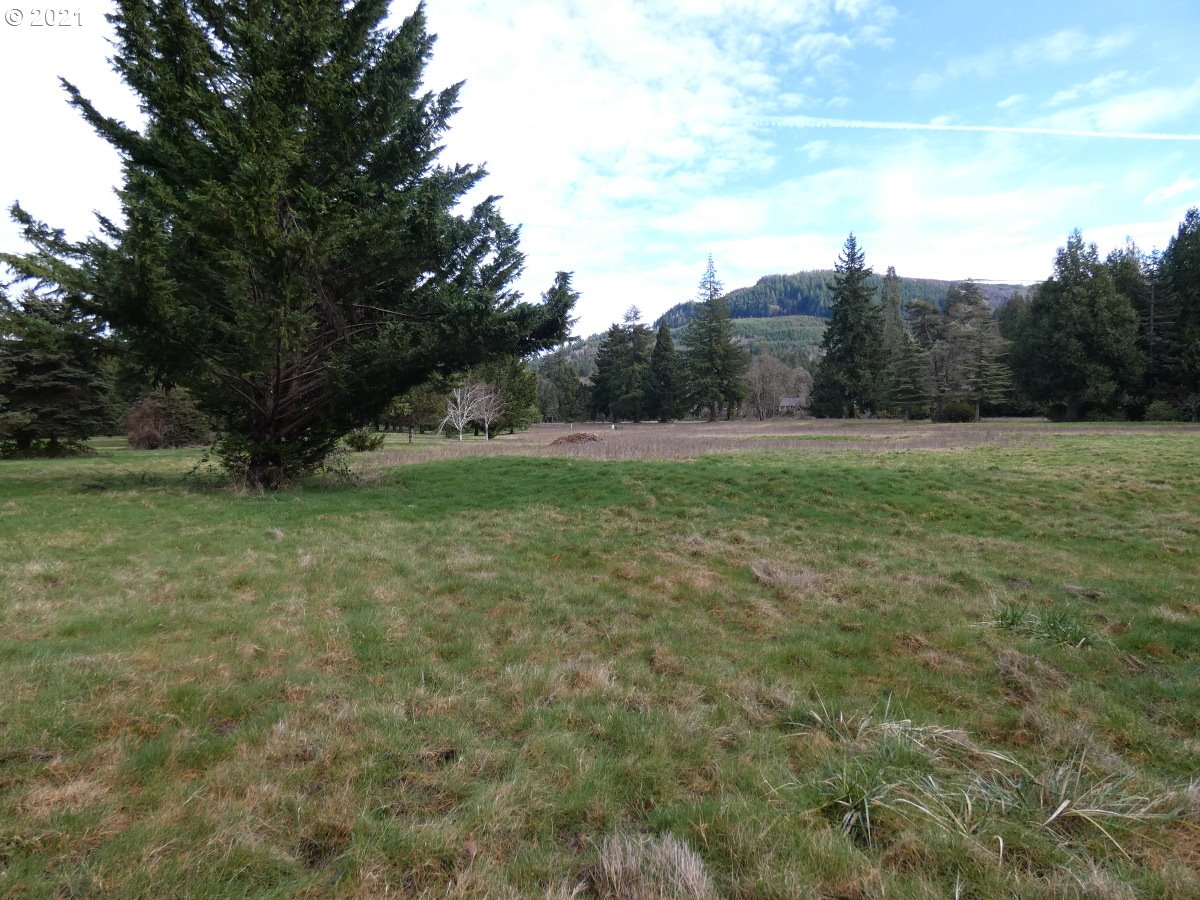 Omlid Drive, Unit 15 Springfield, OR 97478 - Photo 9 of 12 Gallery Image 9