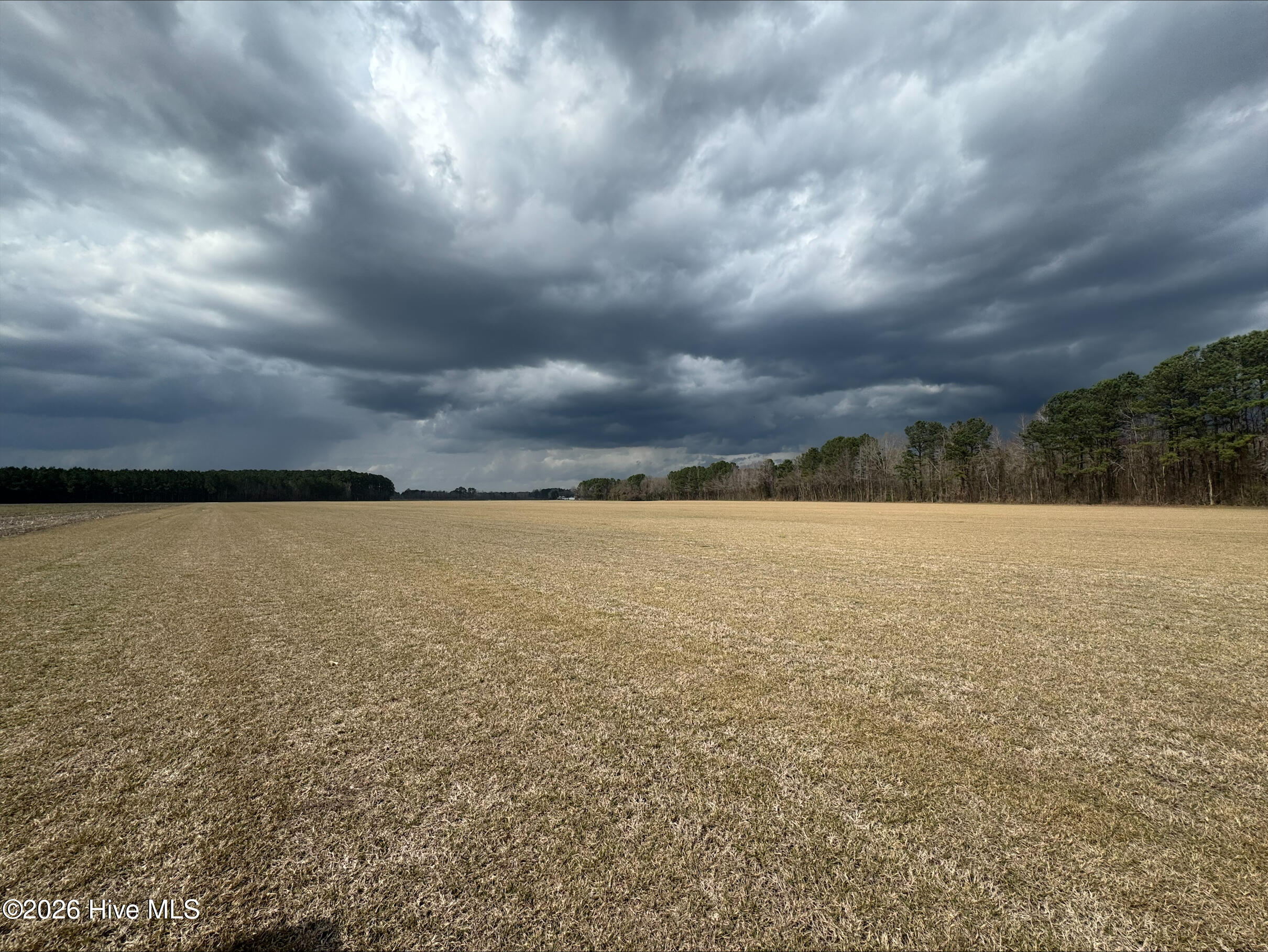 7-track Sim Dawson Road New Bern, NC 28562 - Photo 4 of 4 pic4