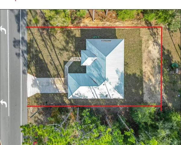 a outdoor view with a large trees