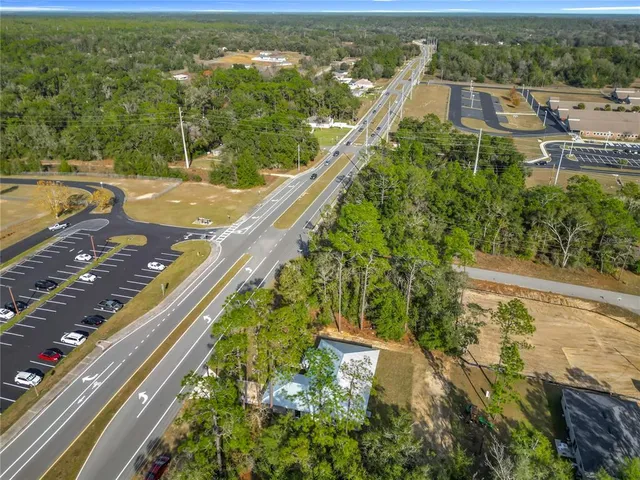 a view of a park with large trees