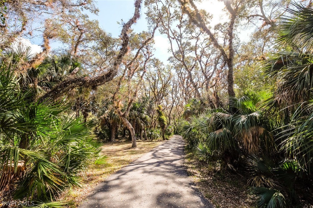 3141 Bateman Road Alva, FL 33920 - Photo 25 of 25 Gallery Image 25