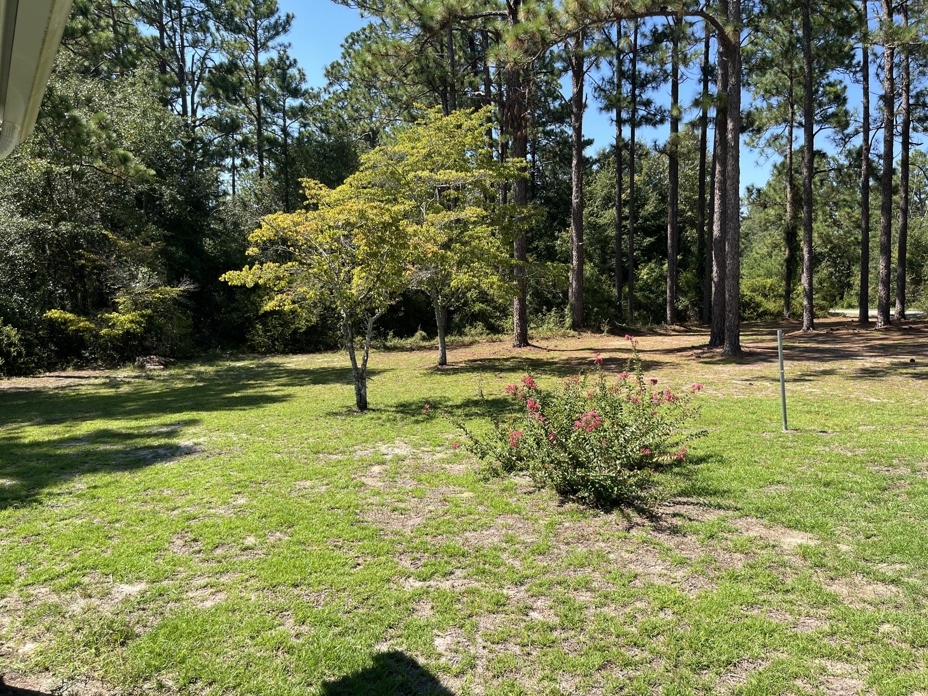 1918 River Road Waynesboro, GA 30830 - Photo 16 of 22 IMG_6800