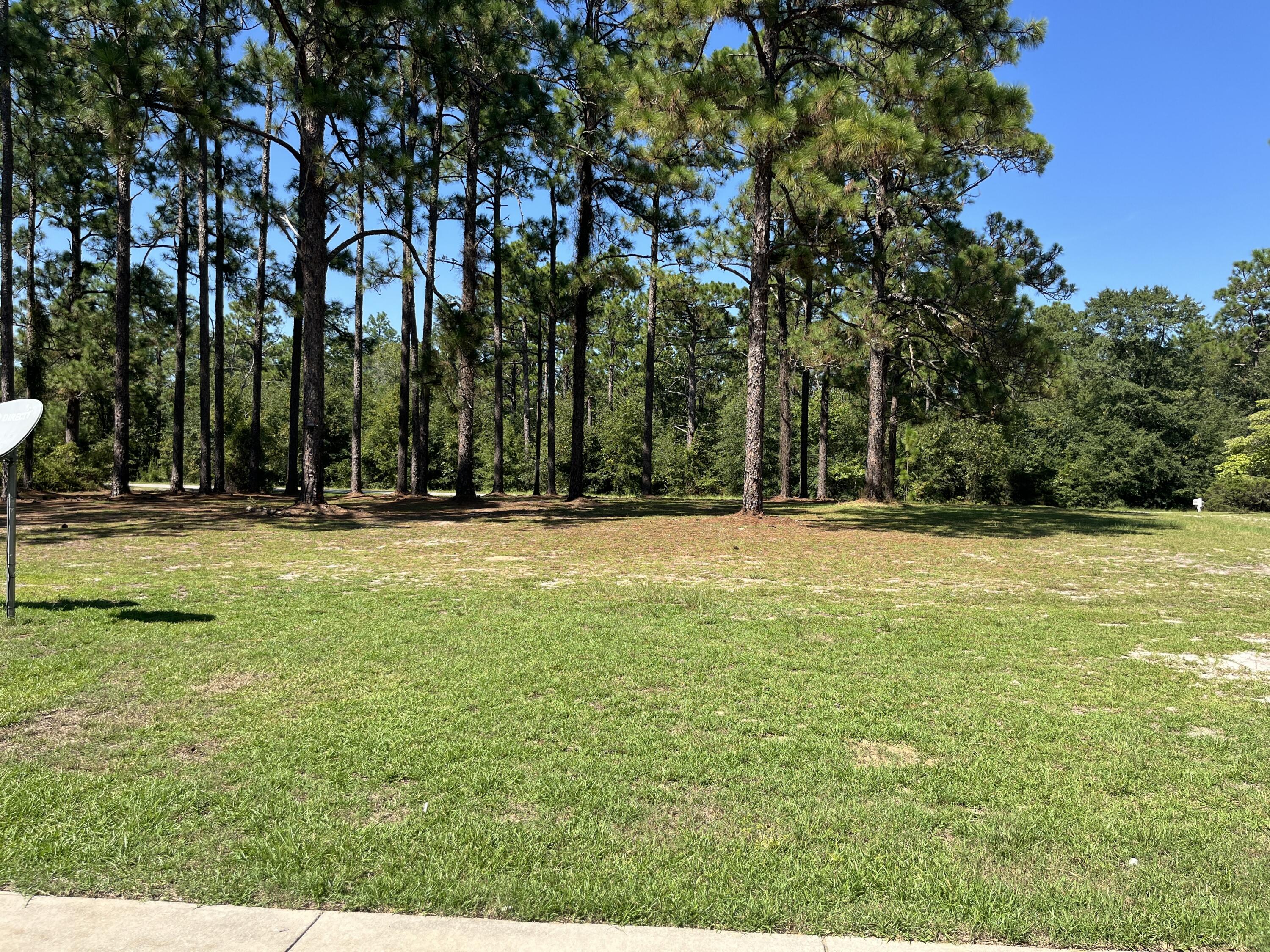 1918 River Road Waynesboro, GA 30830 - Photo 18 of 22 IMG_6801