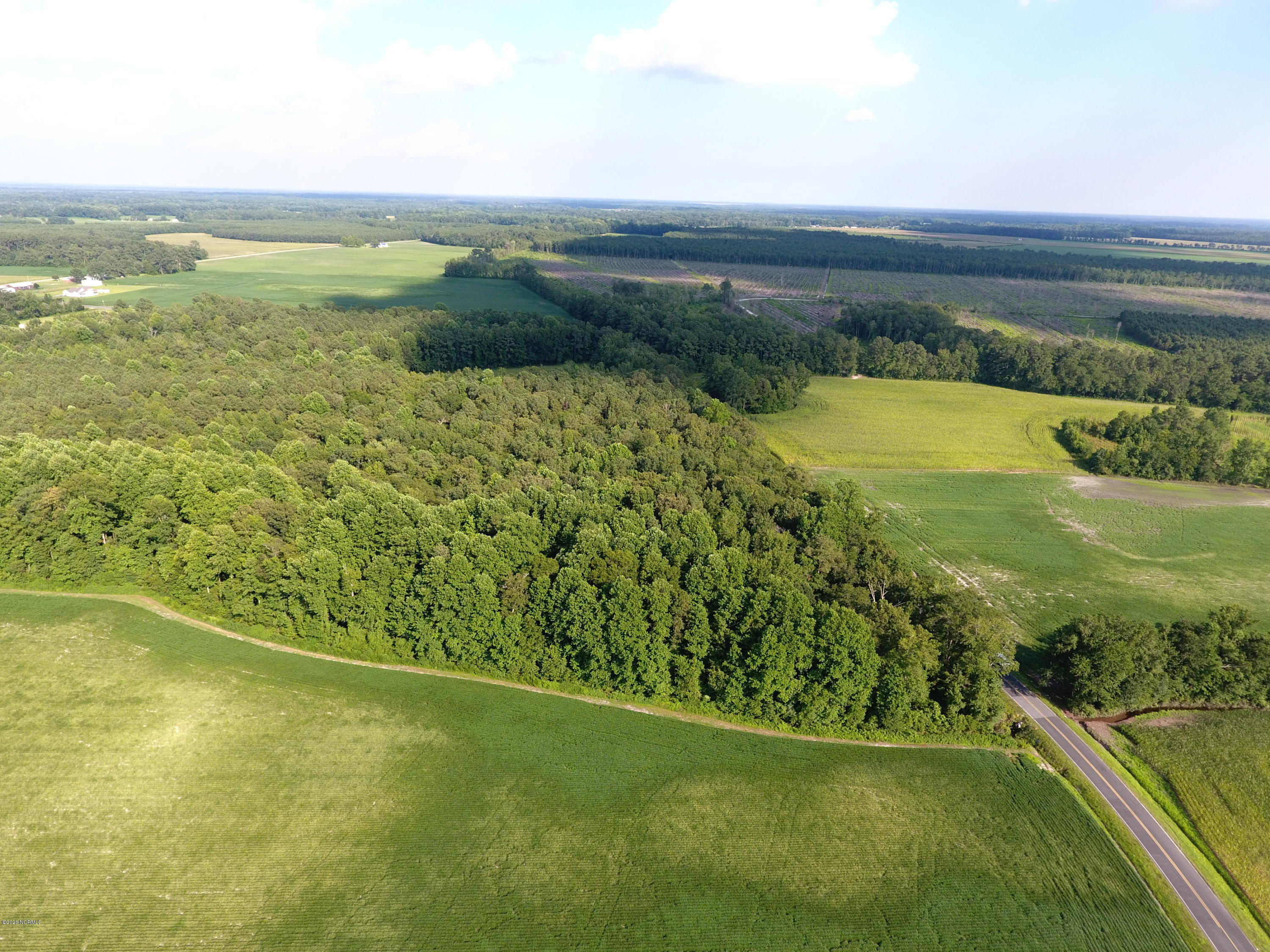 1355 Jonestown Road Dover, NC 28526 - Photo 4 of 6 DJI_0027