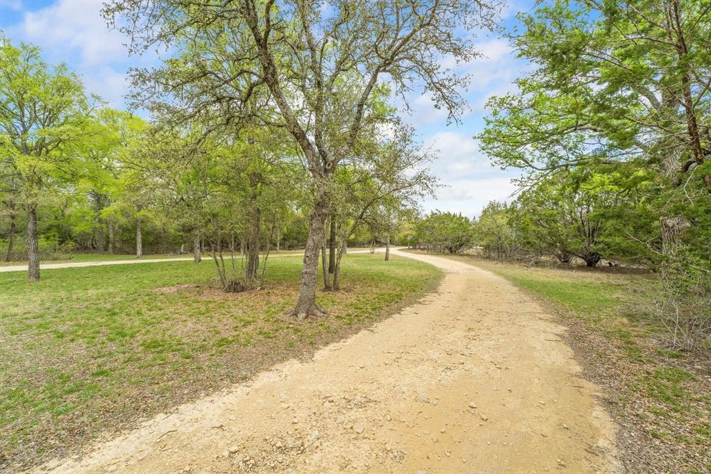 a view of a yard with a tree
