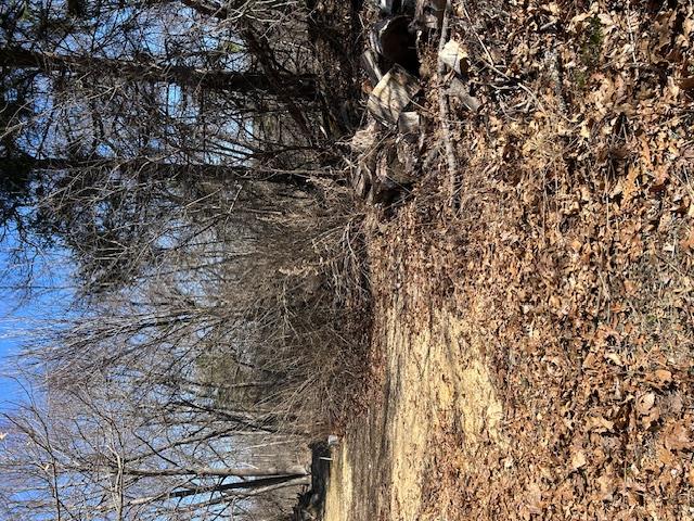 View of open land and trees