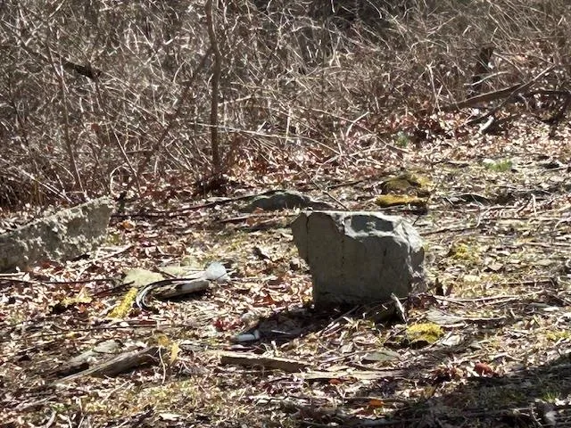 $120,000 | Pressler Road, Wallkill, NY 12589