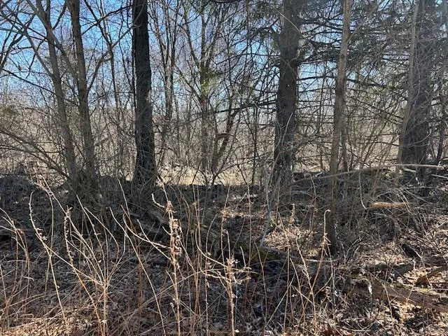 $120,000 | Pressler Road, Wallkill, NY 12589