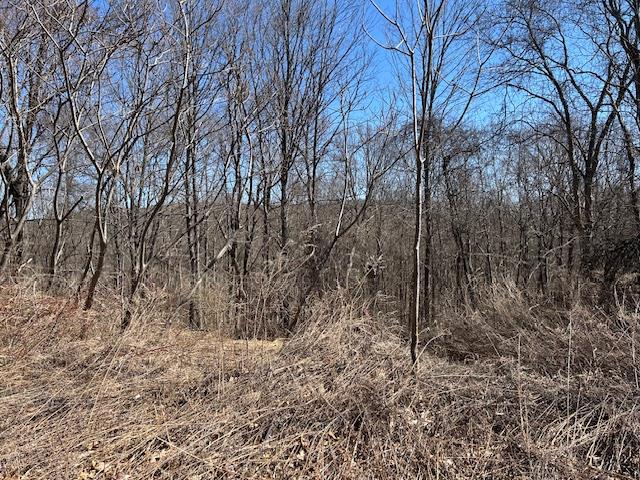 Pressler Road Wallkill, NY 12589 - Photo 15 of 17 View of wooded landscape