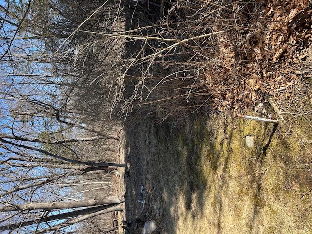 Pressler Road Wallkill, NY 12589 - Photo 4 of 17 View of open land and trees