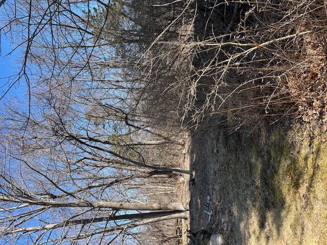 Pressler Road Wallkill, NY 12589 - Photo 5 of 17 View of open land and trees