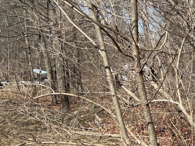 Pressler Road Wallkill, NY 12589 - Photo 7 of 17 View of wooded landscape