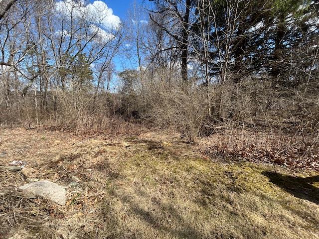 Pressler Road Wallkill, NY 12589 - Photo 8 of 17 View of wooded landscape and clearing