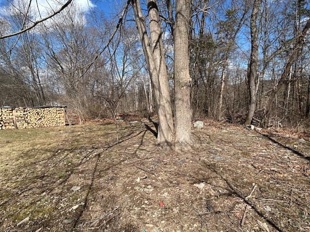 Pressler Road Wallkill, NY 12589 - Photo 10 of 17 View of wooded landscape and clearing
