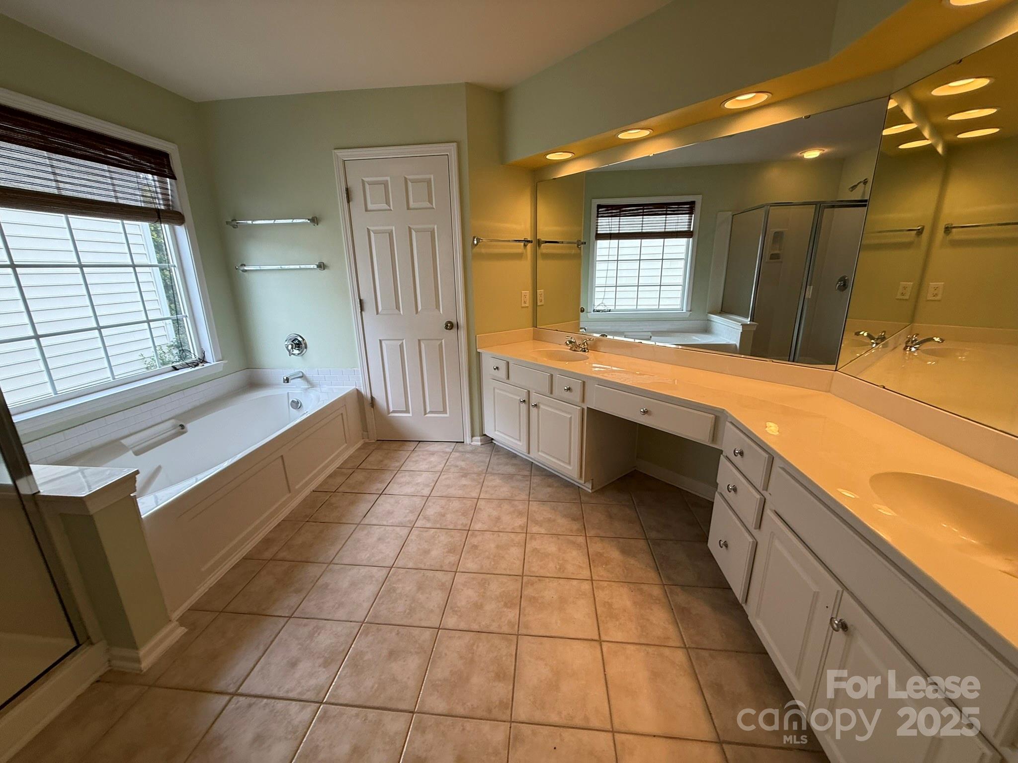 10431 Olde Ivy Way Charlotte, NC 28262 - Photo 12 of 24 a large bathroom with a large tub sink and mirror