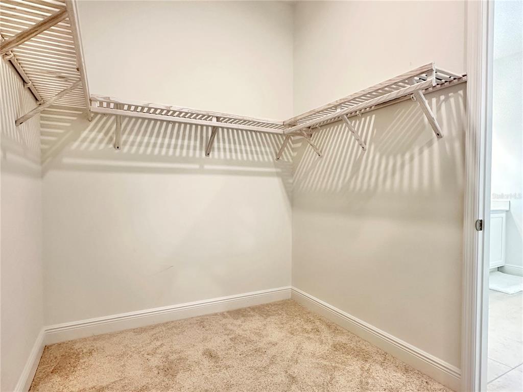 17552 Lake Star Road Winter Garden, FL 34787 - Photo 27 of 50