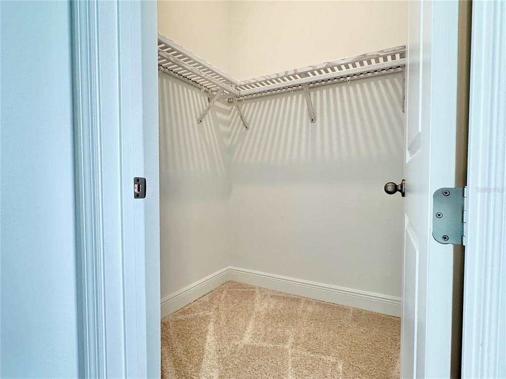 17552 Lake Star Road Winter Garden, FL 34787 - Photo 37 of 50