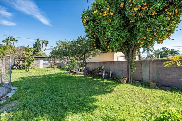 a view of a backyard