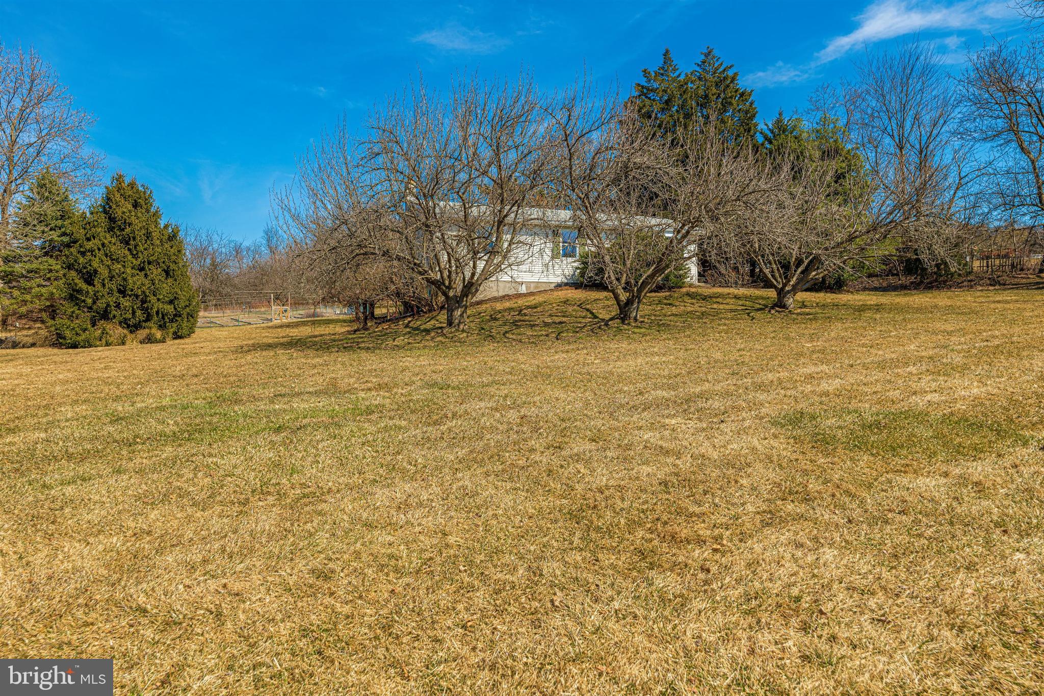 20824 Netz Road Boonsboro, MD 21713 - Photo 50 of 53 a view of yard