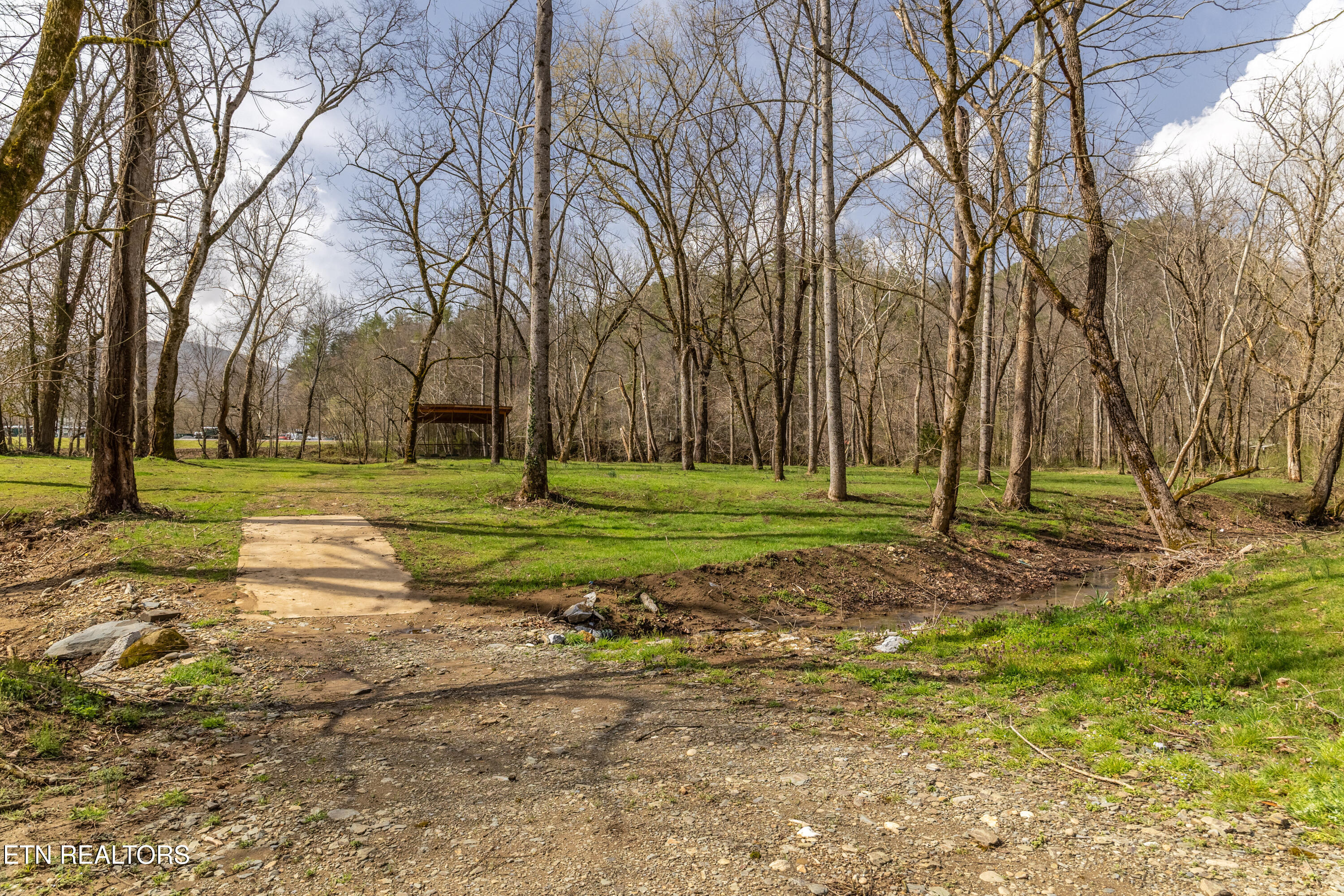 248 Cameron Road Townsend, TN 37882 - Photo 12 of 35 townsend-8