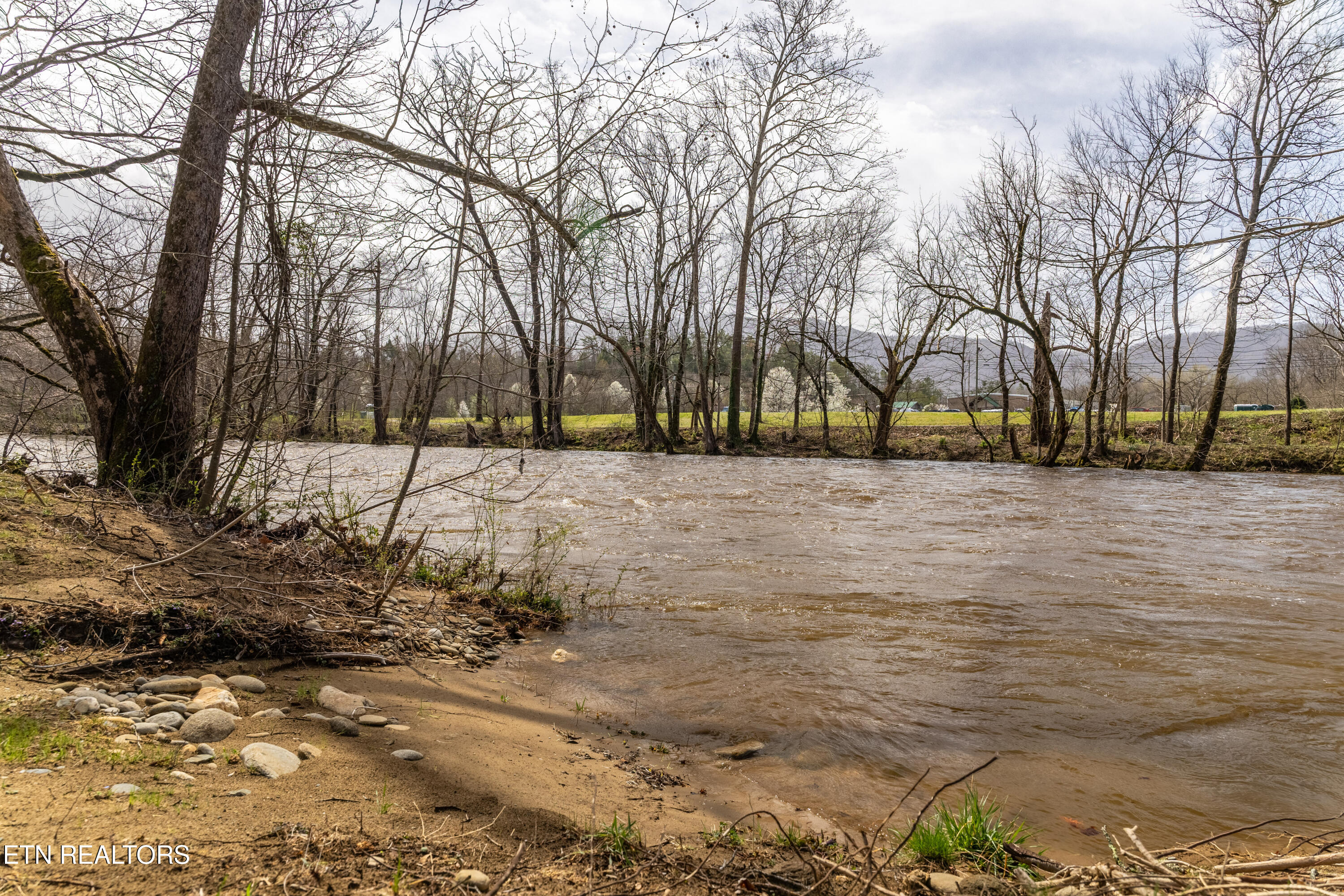 248 Cameron Road Townsend, TN 37882 - Photo 20 of 35 townsend-18