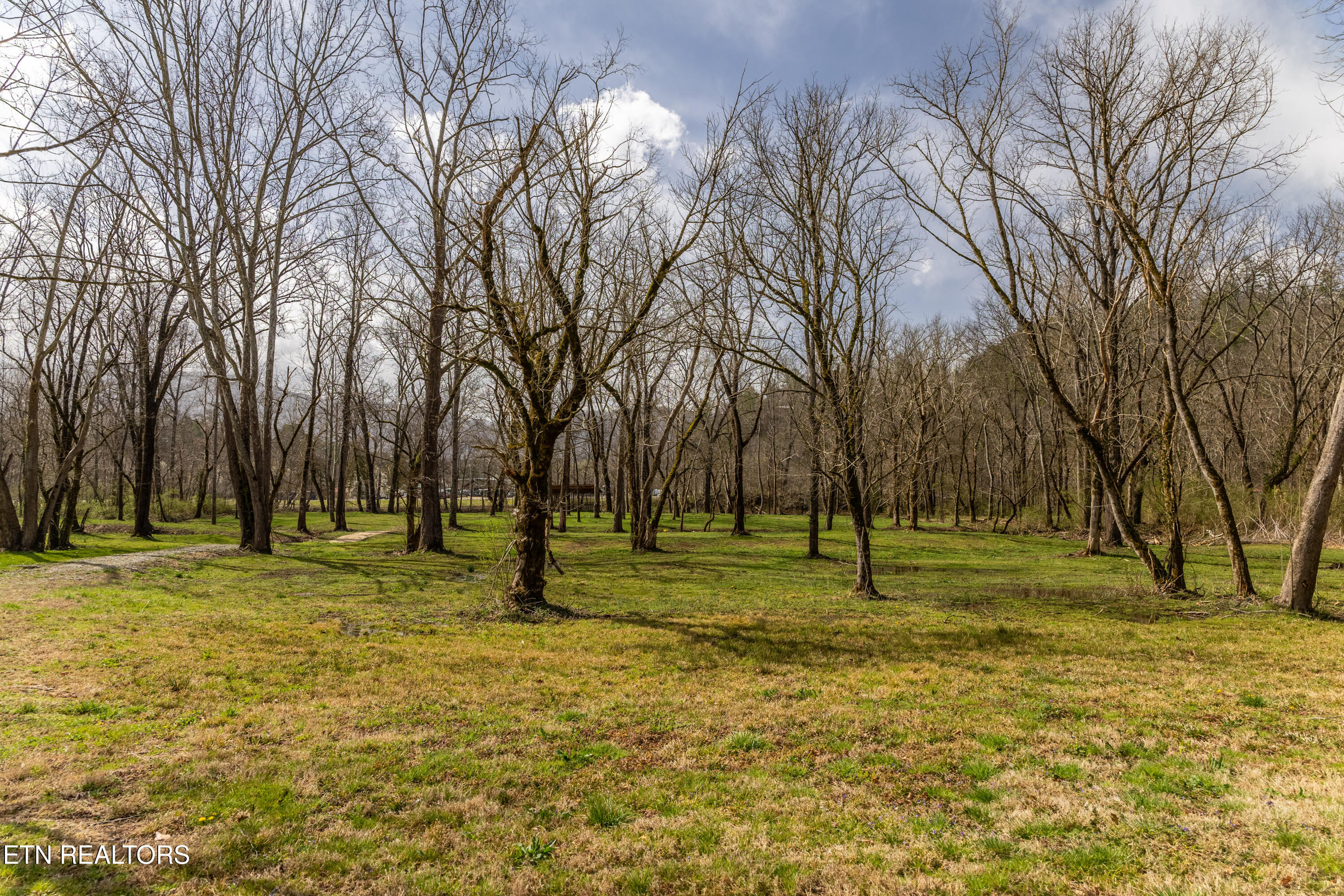 248 Cameron Road Townsend, TN 37882 - Photo 6 of 35 townsend-4