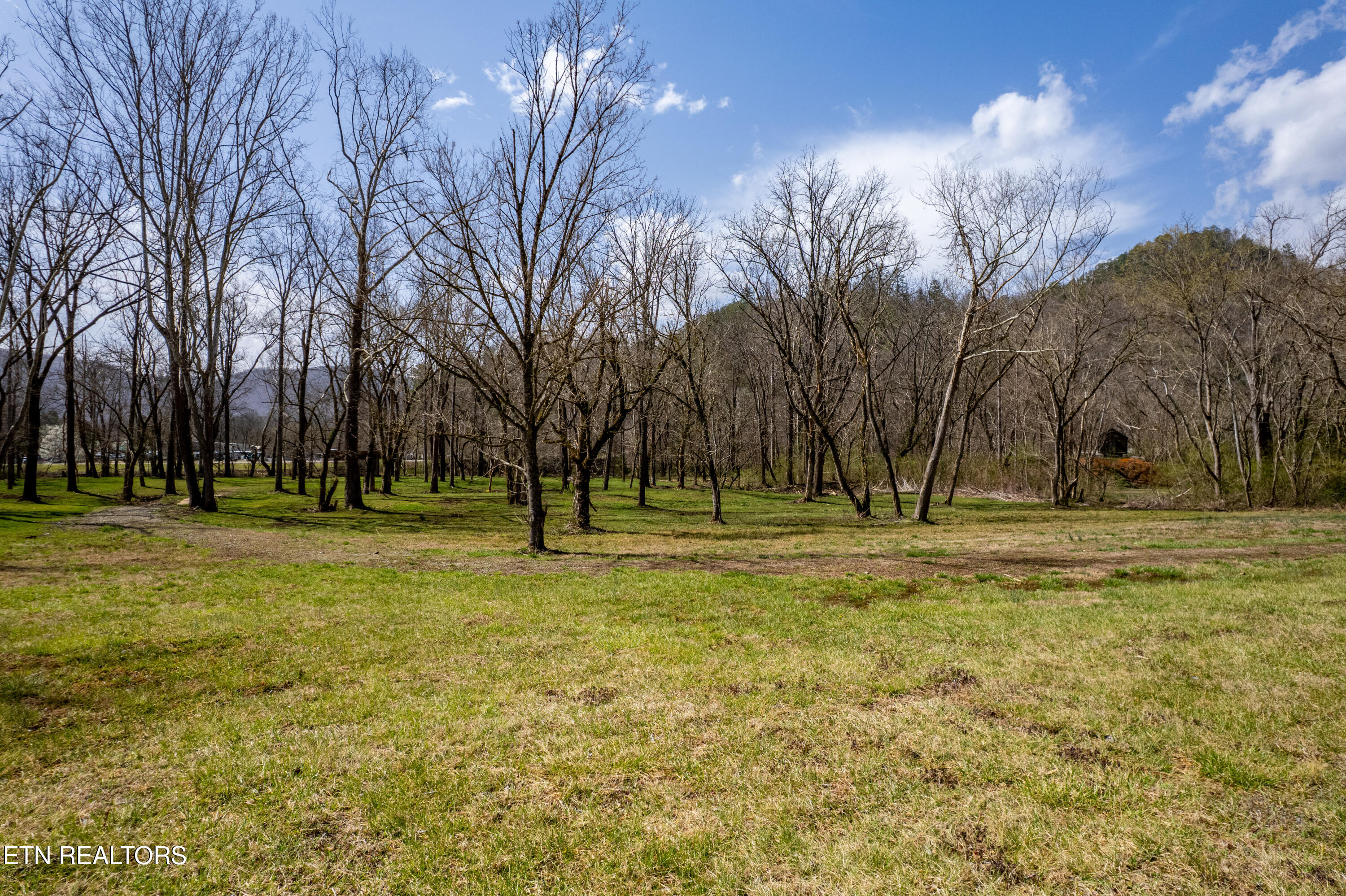 248 Cameron Road Townsend, TN 37882 - Photo 8 of 35 townsend-35