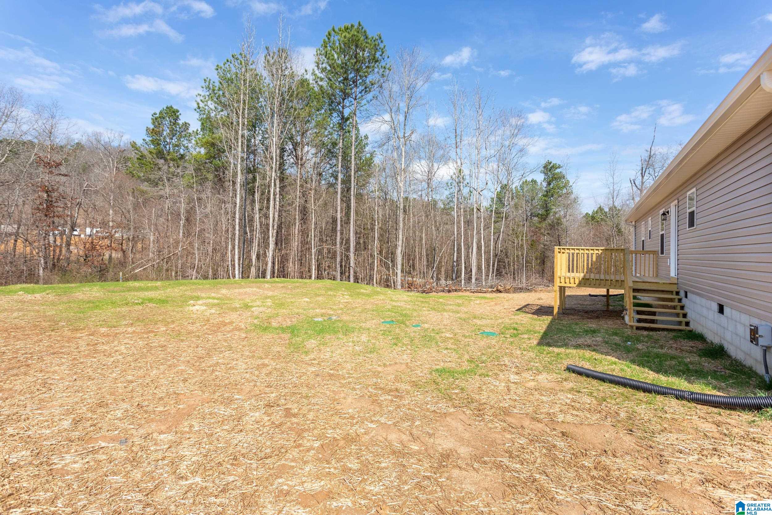 8215 Boiling Springs Road Ohatchee, AL 36271 - Photo 33 of 36