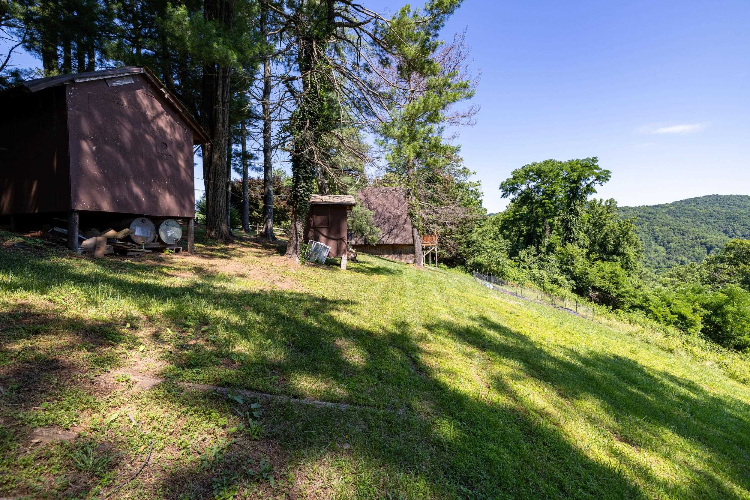 1093 Overlook Mountain Road Elkton, VA 22827 - Photo 44 of 63