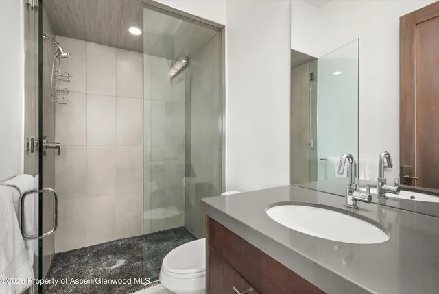 a bathroom with a sink toilet and shower