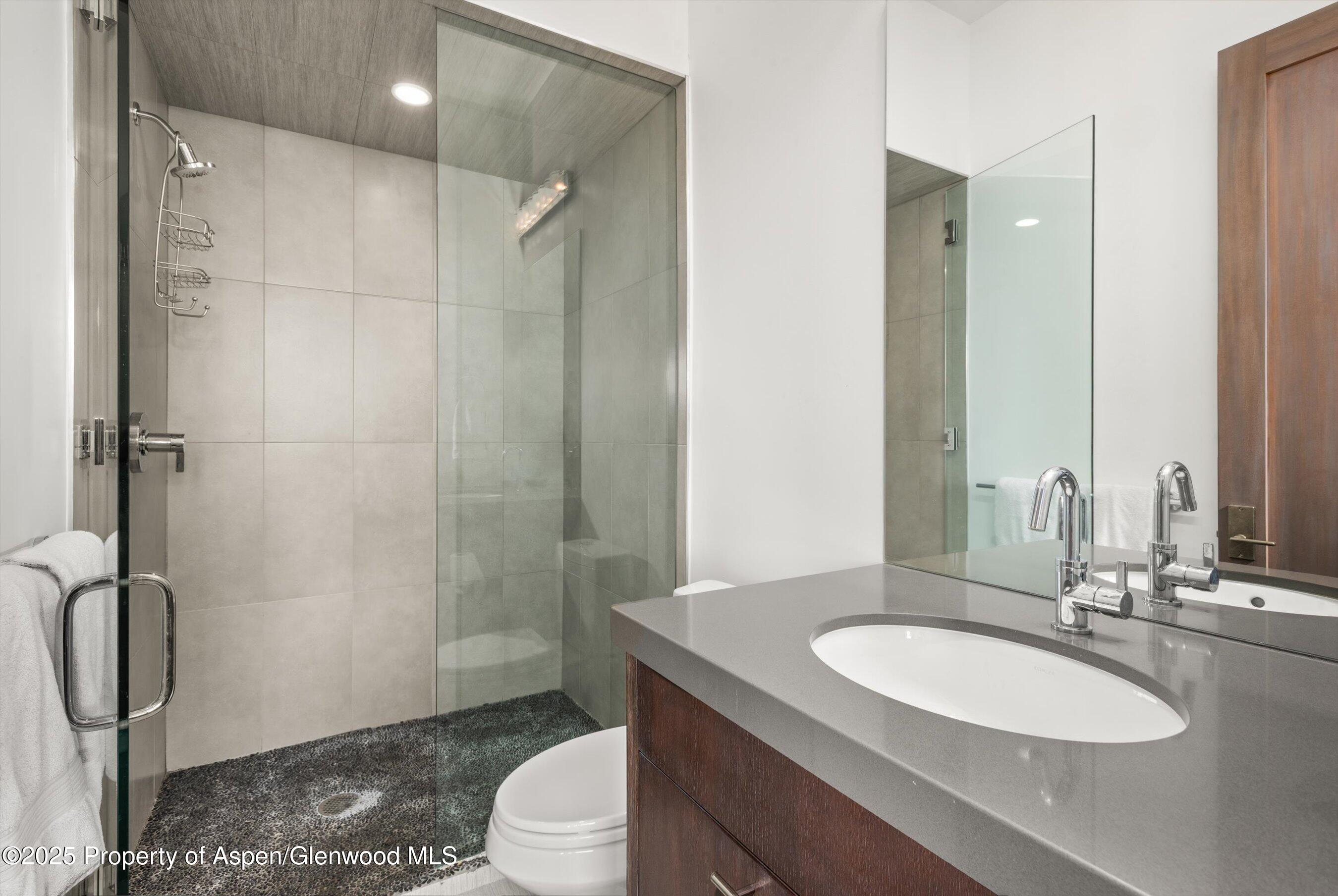 272 Oak Ridge Road Snowmass Village, CO 81615 - Photo 28 of 54 a bathroom with a sink toilet and shower