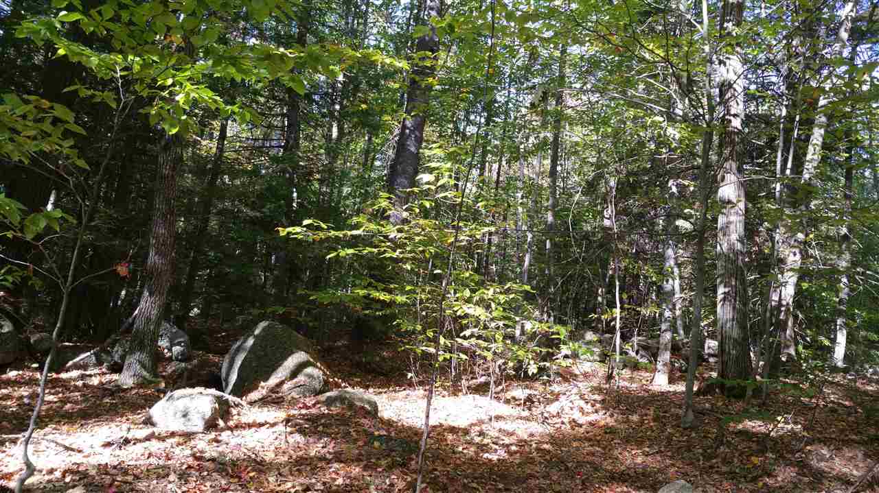 214-99 Pierce Lake Road Antrim, NH 03440 - Photo 2 of 5 Gallery Image 2