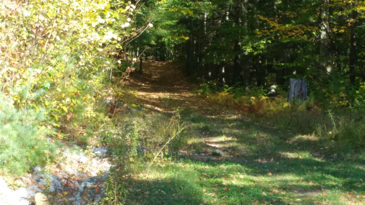 214-99 Pierce Lake Road Antrim, NH 03440 - Photo 3 of 5 Gallery Image 3