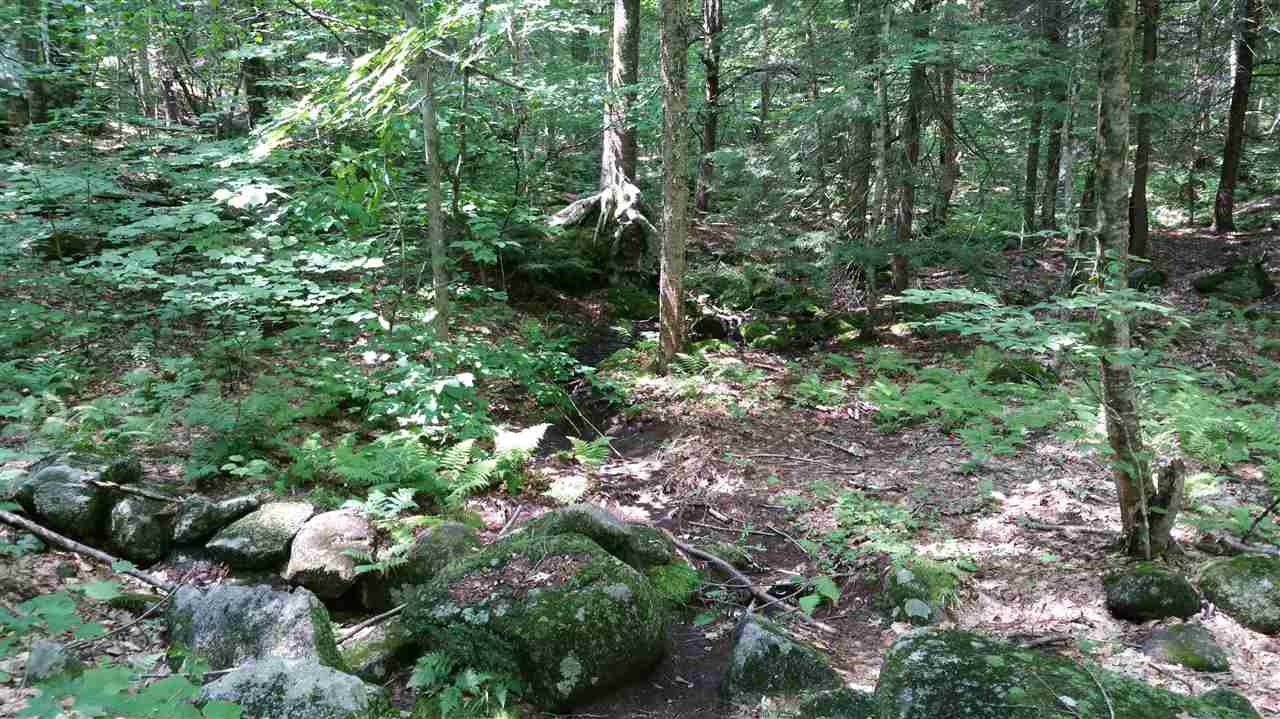 214-99 Pierce Lake Road Antrim, NH 03440 - Photo 5 of 5 Gallery Image 5