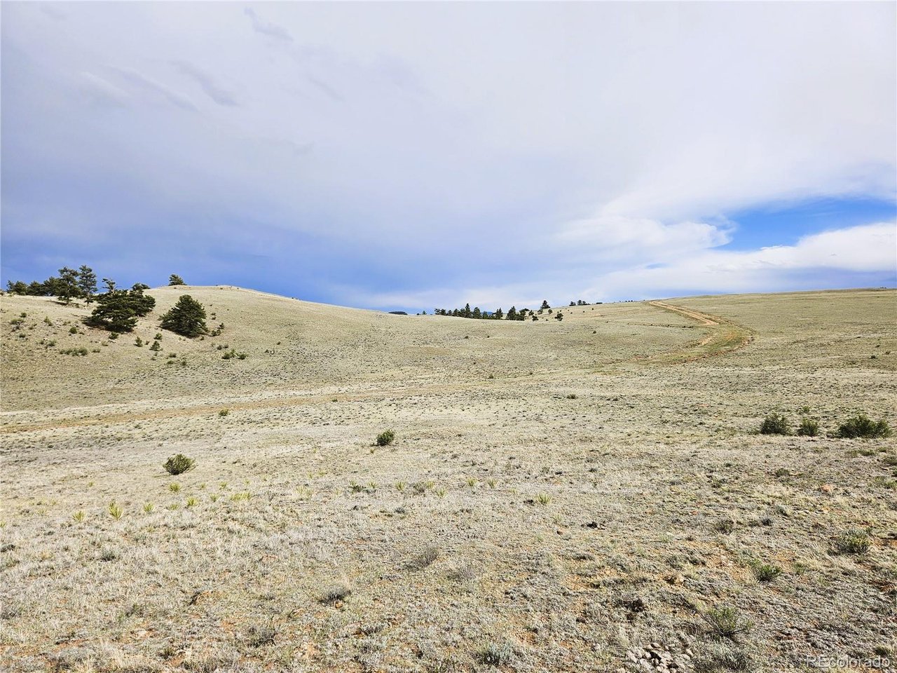 24131 Chato Road Hartsel, CO 80449 - Photo 8 of 28