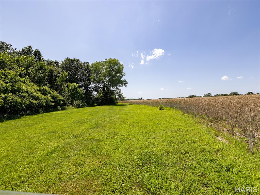 14816 State Hwy UU Bowling Green, MO 63334 - Photo 38 of 54