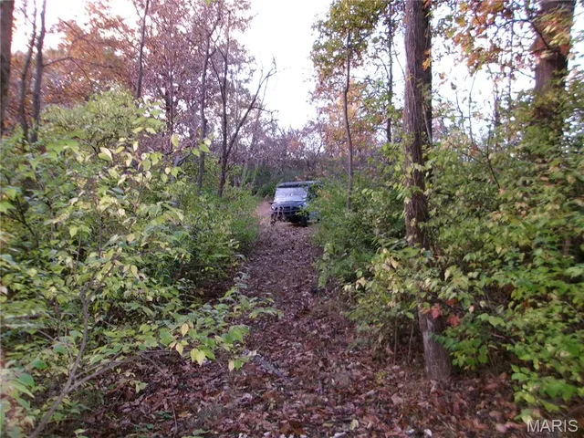 $389,000 | 14816 State Hwy UU, Bowling Green, MO 63334