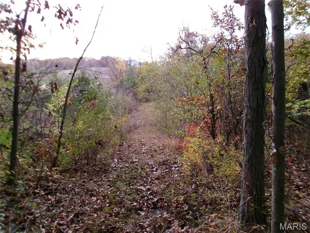 $389,000 | 14816 State Hwy UU, Bowling Green, MO 63334