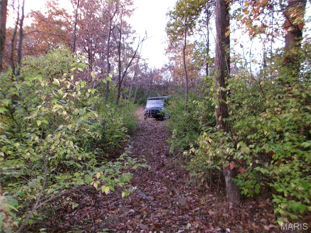 14816 State Hwy UU Bowling Green, MO 63334 - Photo 41 of 54