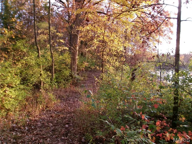 $389,000 | 14816 State Hwy UU, Bowling Green, MO 63334