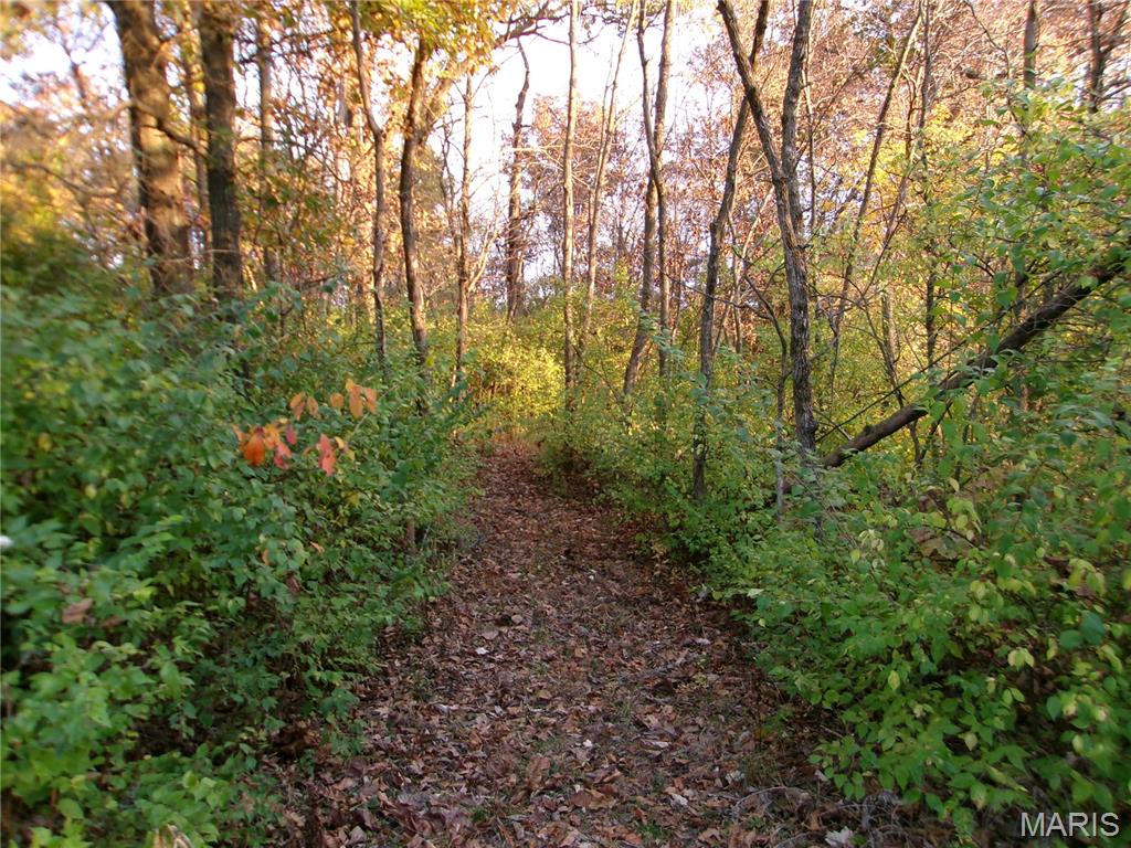 14816 State Hwy UU Bowling Green, MO 63334 - Photo 43 of 54