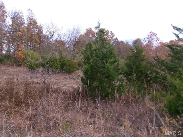 $389,000 | 14816 State Hwy UU, Bowling Green, MO 63334