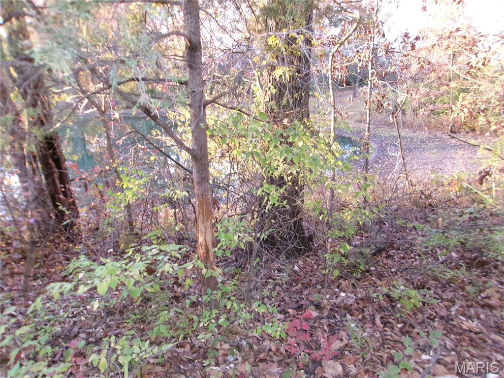 14816 State Hwy UU Bowling Green, MO 63334 - Photo 44 of 54