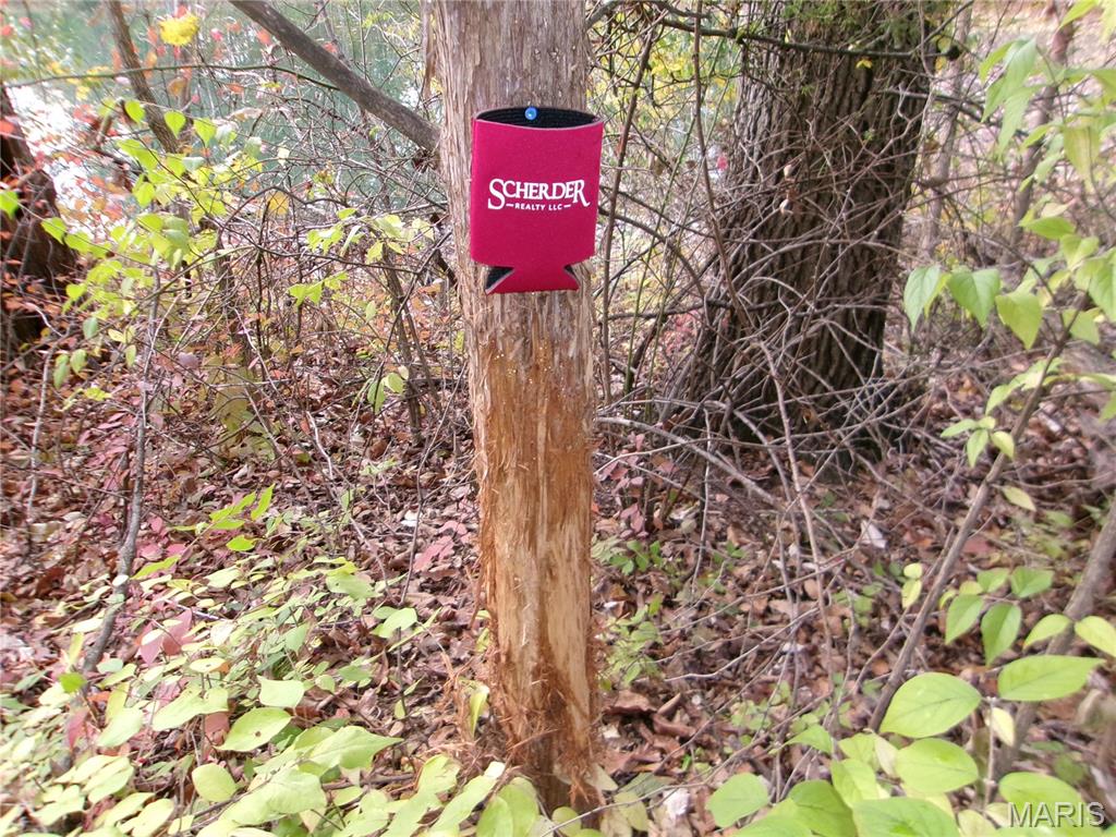 14816 State Hwy UU Bowling Green, MO 63334 - Photo 45 of 54