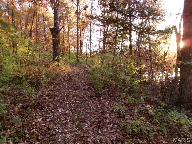 $389,000 | 14816 State Hwy UU, Bowling Green, MO 63334