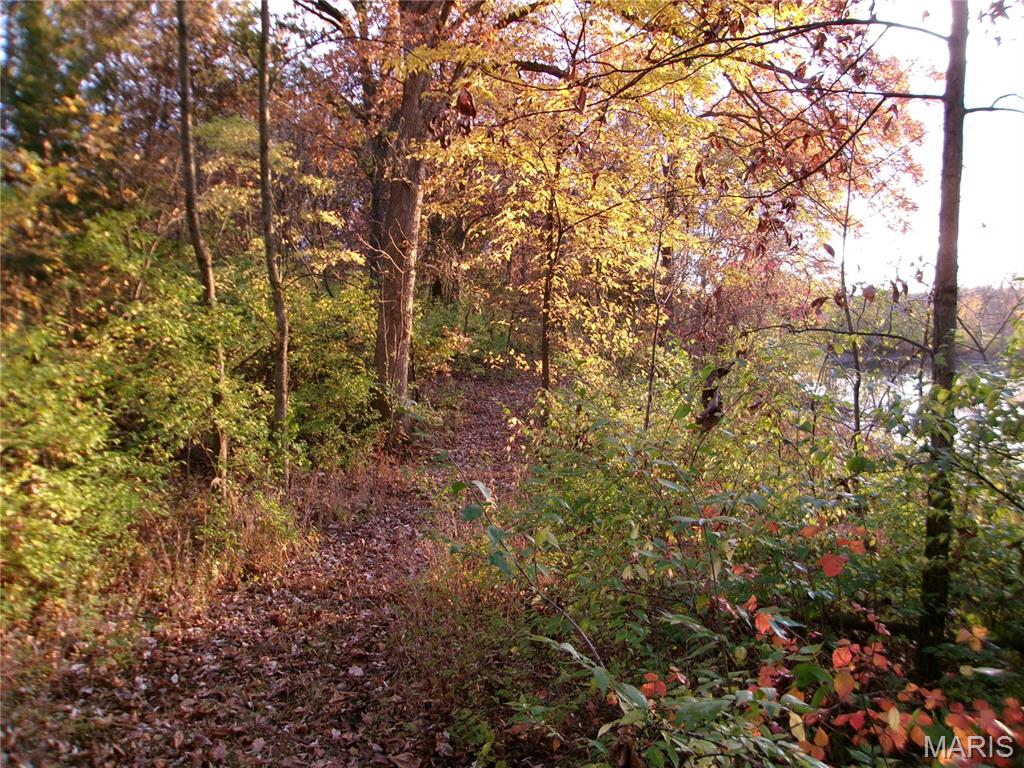 14816 State Hwy UU Bowling Green, MO 63334 - Photo 46 of 54