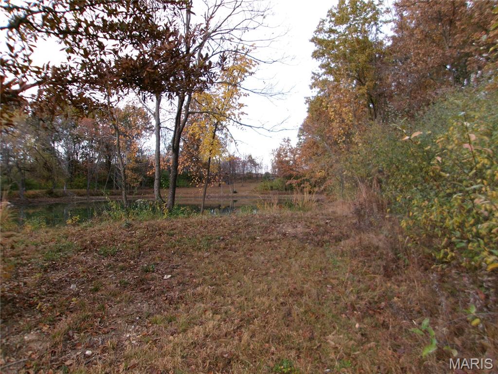 14816 State Hwy UU Bowling Green, MO 63334 - Photo 48 of 54