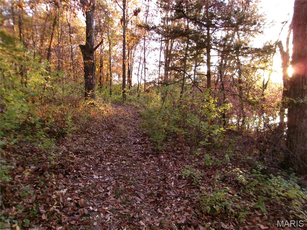 14816 State Hwy UU Bowling Green, MO 63334 - Photo 49 of 54