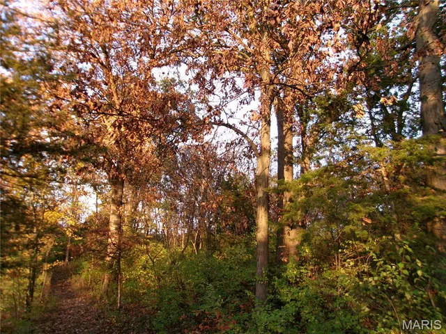 $389,000 | 14816 State Hwy UU, Bowling Green, MO 63334