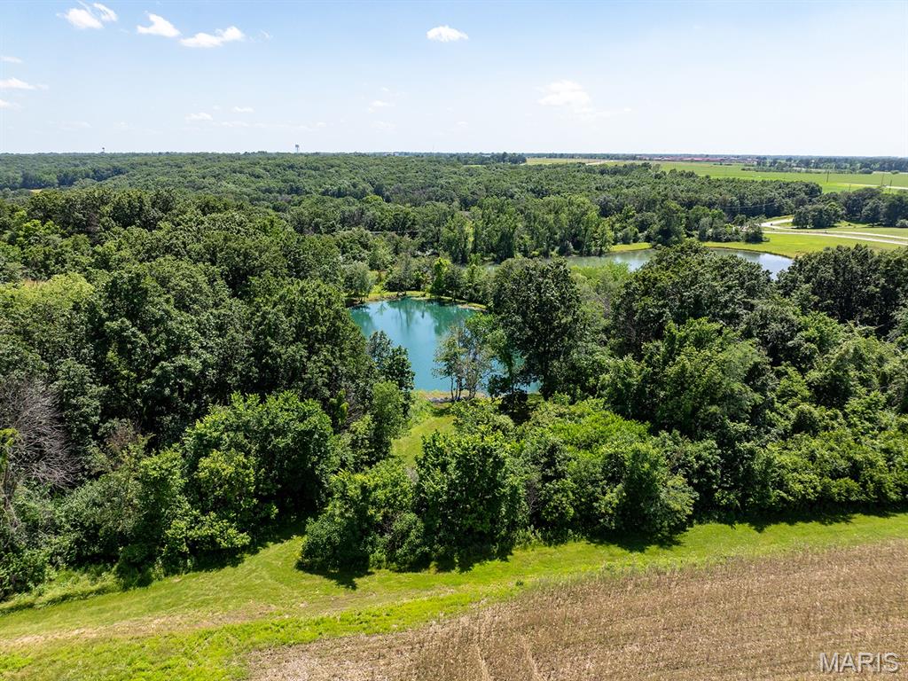 14816 State Hwy UU Bowling Green, MO 63334 - Photo 52 of 54